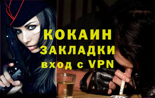 кокс Дмитровск