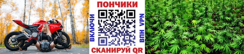 Бошки марихуана планчик Купить где Мезень